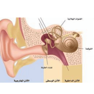 3 طرق لعلاج التهاب الأذن الوسطي والوقاية منها عند الأطفال