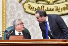 مجلس النواب يوافق على مشروع إنشاء المجلس الصحي المصري