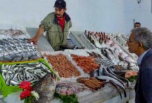 ارتفاع أسعار الأسماك بالمغرب مع بداية شهر رمضان
