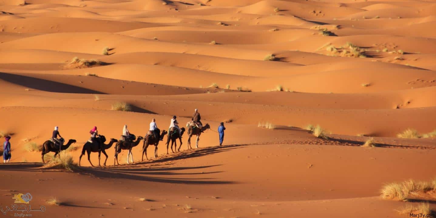 الصحراء في المنام