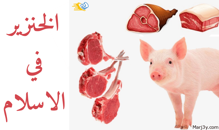 حكم اكل لحم الخنزير