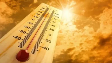 هيئة الأرصاد الجوية تتوقع موجة حر غير مسبوقة قادمة من الهند وتضرب مصر