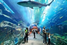 دبي أكواريوم وحديقة الحيوانات المائية