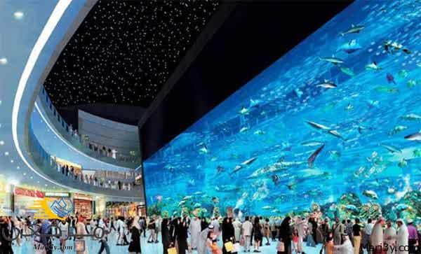 دبي أكواريوم وحديقة الحيوانات المائية