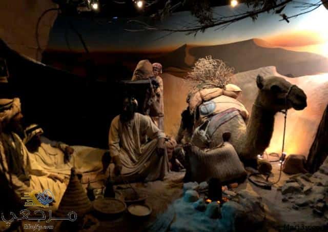 متحف تاريخ أبوظبي والمتحف المائي