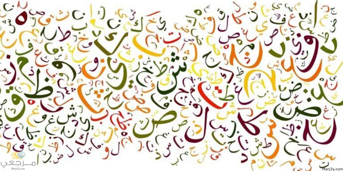 اللغة العربية في المنام للعزباء