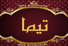 ما هو معنى اسم تيما في القرآن الكريم