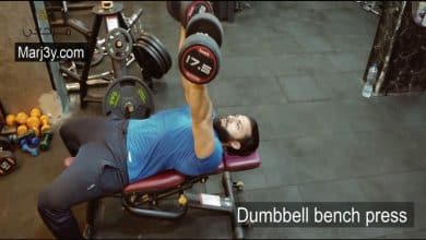 تمارين الصدر بالدامبل المستوى - Chest exercises - Dumbbell Bench Press