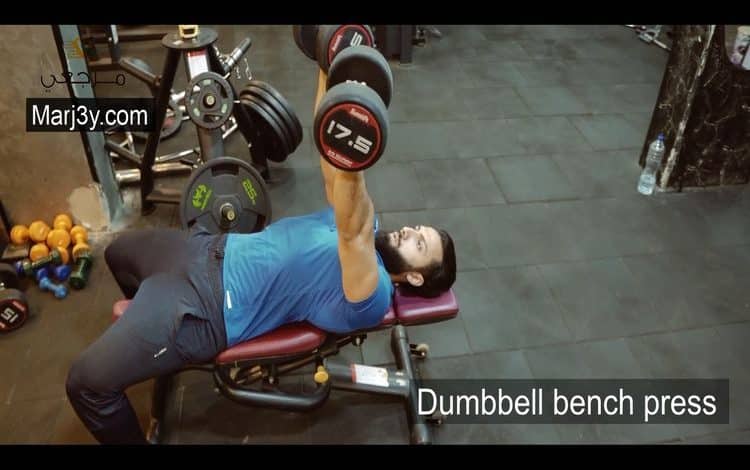 تمارين الصدر بالدامبل المستوى - Chest exercises - Dumbbell Bench Press