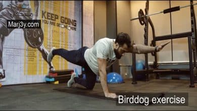 تمرين بيرد دوج Birddog exercise