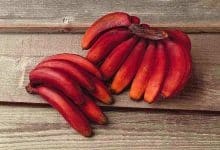 فوائد الموز الأحمر