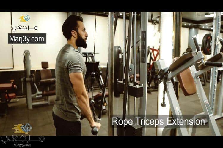 تراي باستخدام الحبل Rope triceps extension