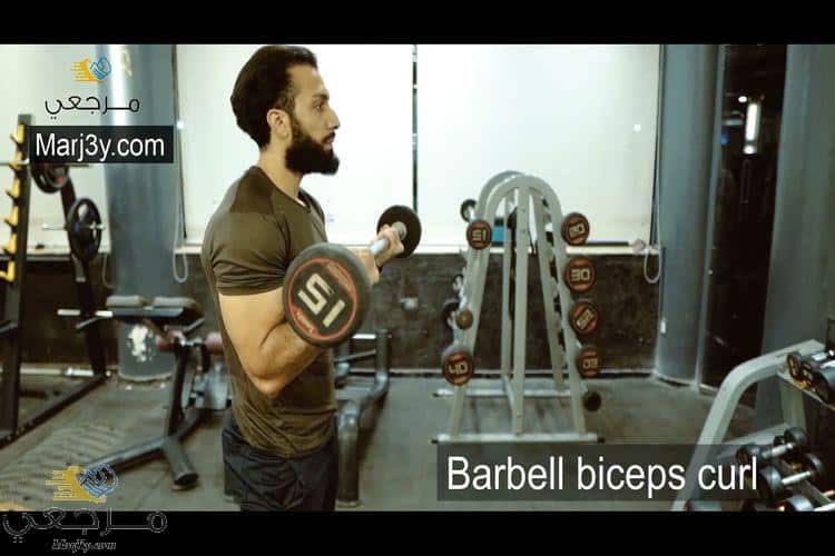 تمرين السحب بالبار للبايسبس Barbell biceps curl
