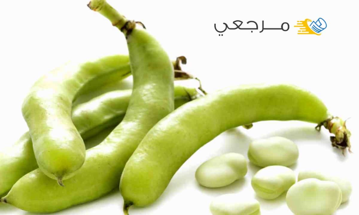 الباقلاء