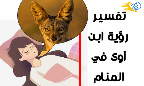 تفسير رؤية ابن آوى في المنام