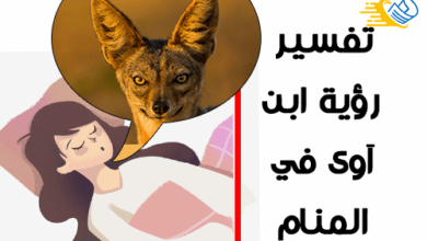 تفسير رؤية ابن آوى في المنام