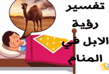 تفسير رؤية الابل في المنام