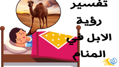 تفسير رؤية الابل في المنام