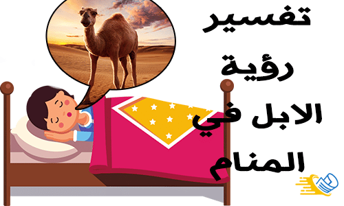 تفسير رؤية الابل في المنام