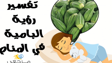 تفسير رؤية البامية في المنام