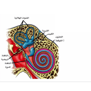  3 طرق لعلاج التهاب الأذن الداخلية وعلاقتها بمشاكل الاتزان