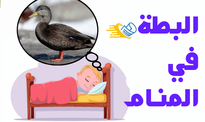 تفسير رؤية البط في الحلم