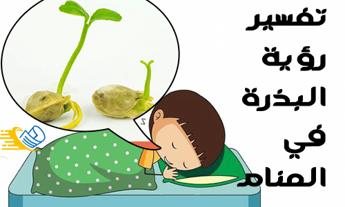 تفسير رؤية البذرة في المنام