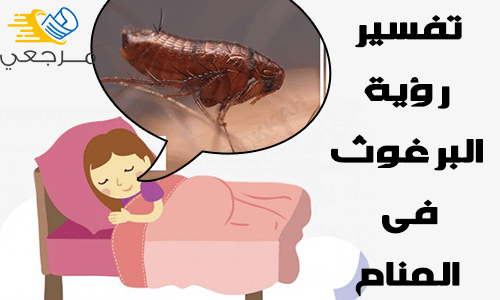 تفسير رؤية البرغوث في المنام