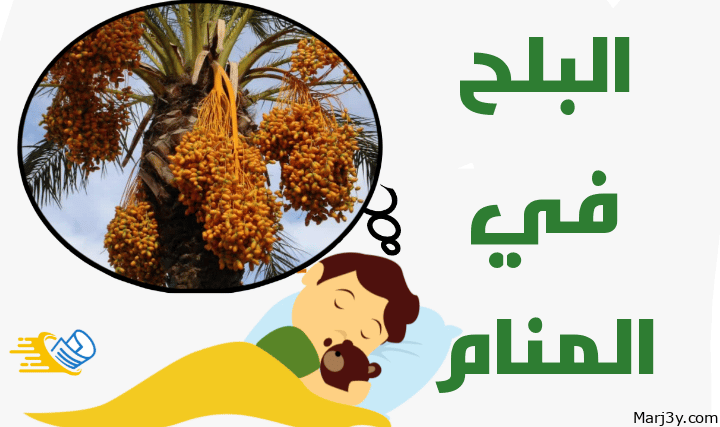 تفسير رؤية البلح في المنام