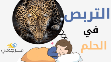 التربص في الحلم