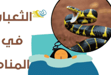 الثعبان في المنام