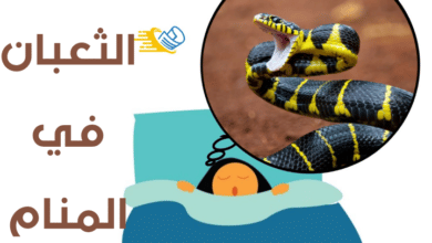 الثعبان في المنام