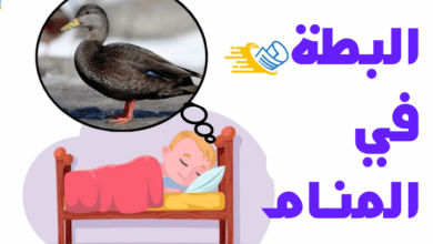 تفسير رؤية البط في الحلم