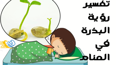 تفسير رؤية البذرة في المنام