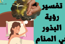 تفسير رؤية البذور في المنام