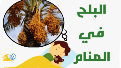 تفسير رؤية البلح في المنام