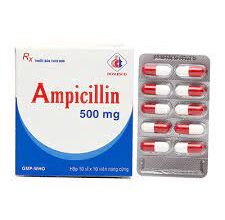 أمبيسلين Ampicillin