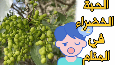 الحبة الخضراء في المنام