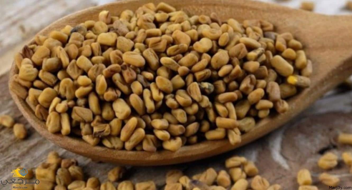 تفسير الحلبة في المنام