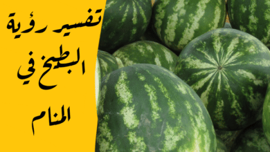 البطيخ في المنام