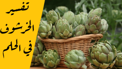 الخرشوف في المنام