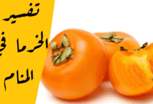 الخرما في المنام