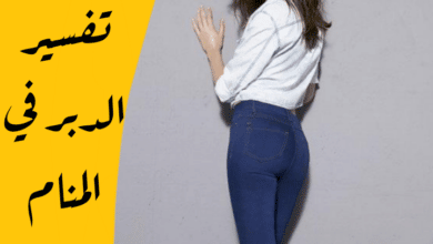 الدبر في المنام