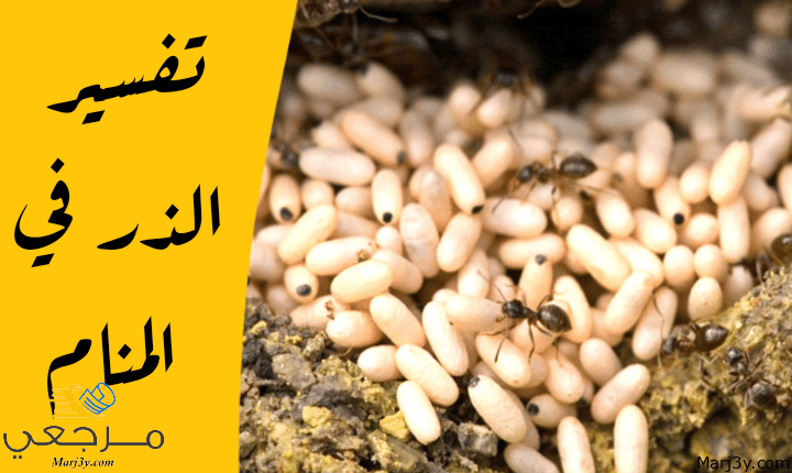 الذر في المنام