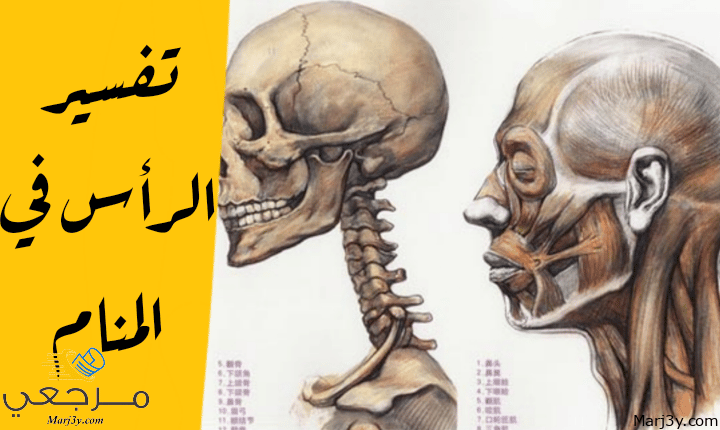 الرأس في المنام