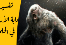 دابة الأرض في الحلم