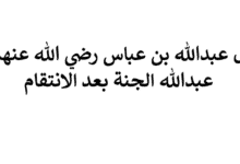 شرح قول عبدالله بن عباس رضي الله عنهما أبشر يا عبدالله الجنة بعد الانتقام