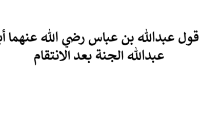 شرح قول عبدالله بن عباس رضي الله عنهما أبشر يا عبدالله الجنة بعد الانتقام