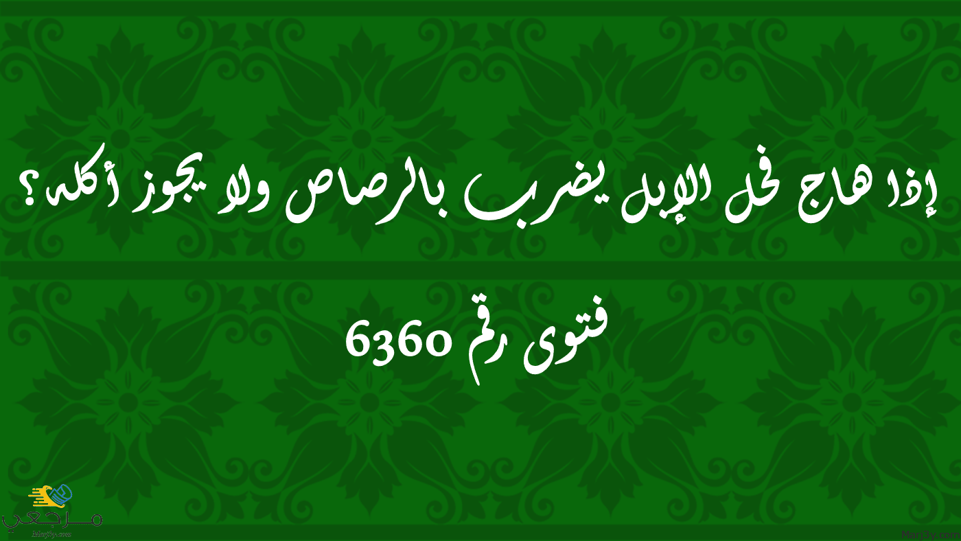 إذا هاج فحل الإبل يضرب بالرصاص ولا يجوز أكله