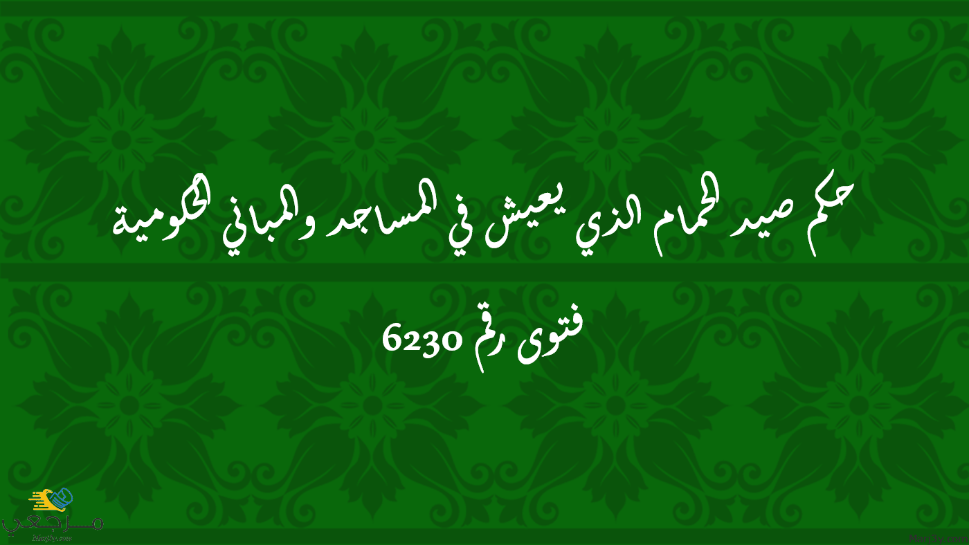 حكم صيد الحمام الذي يعيش في المساجد والمباني الحكومية